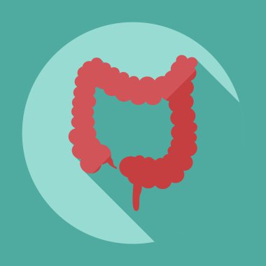 Gölge simgeler kalın bağırsak ile düz modern tasarım