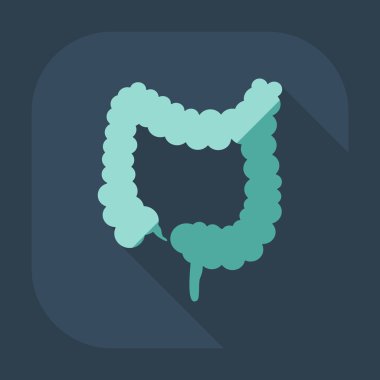 Gölge simgeler kalın bağırsak ile düz modern tasarım