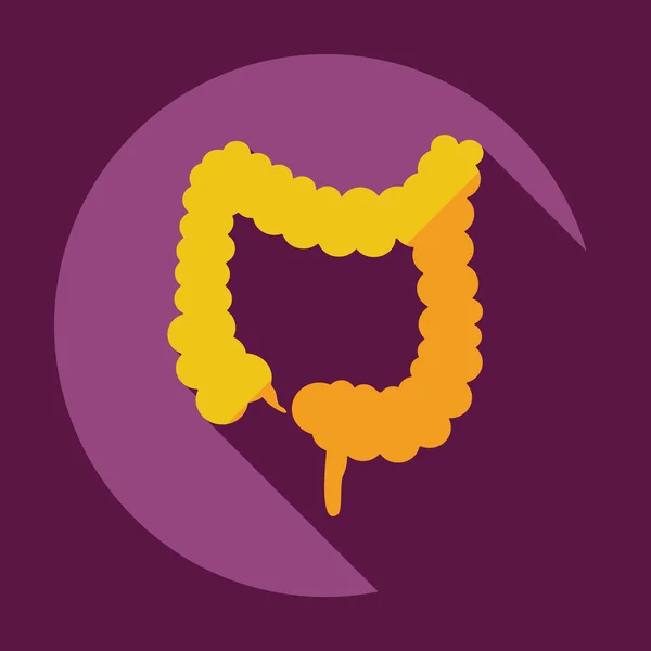 Diseño moderno plano con iconos de sombra intestino grueso — Vector de stock