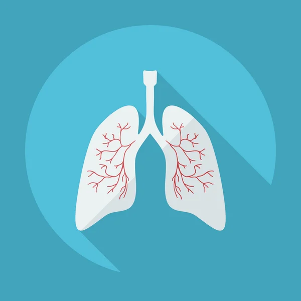 Diseño moderno plano con iconos de sombra pulmones — Vector de stock