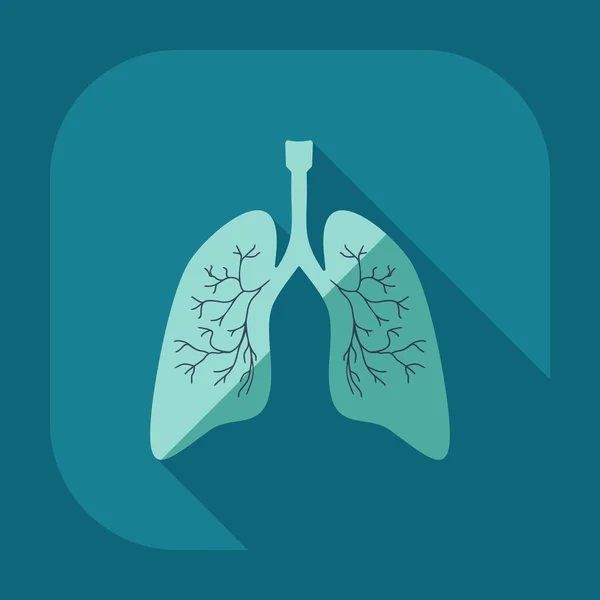 Diseño moderno plano con iconos de sombra pulmones — Vector de stock
