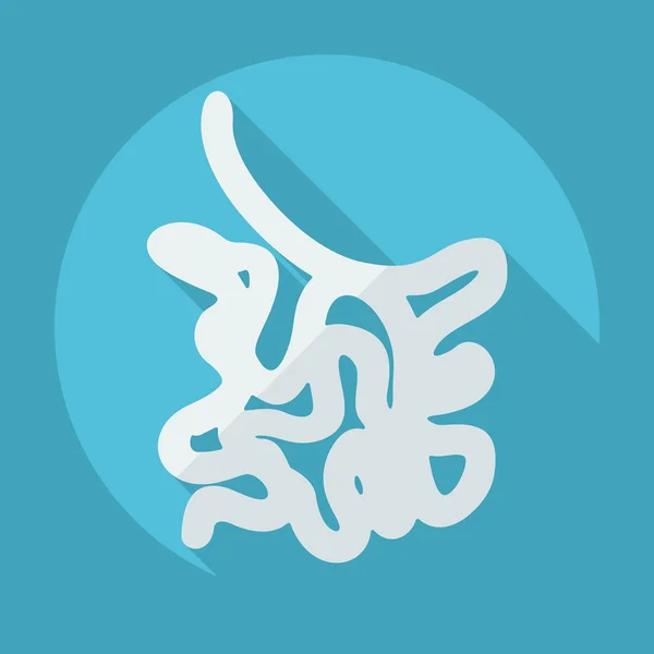 Diseño moderno plano con iconos de sombra intestino delgado — Vector de stock