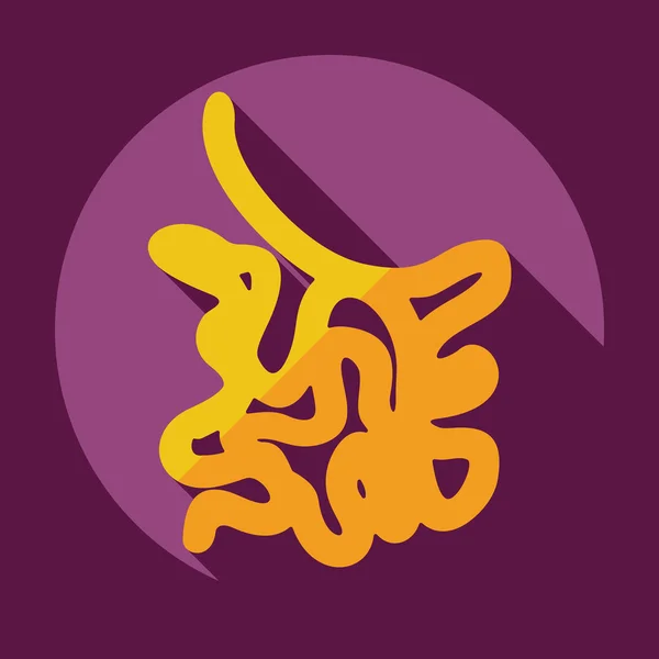 Diseño moderno plano con iconos de sombra intestino delgado — Vector de stock