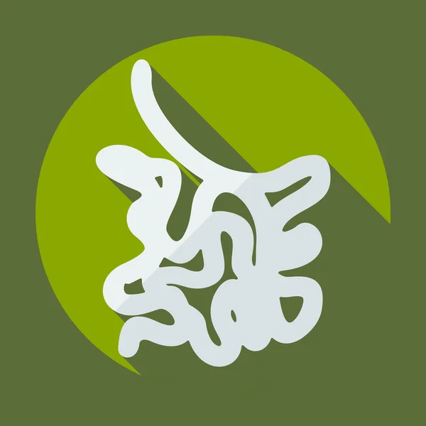 Diseño moderno plano con iconos de sombra intestino delgado — Vector de stock