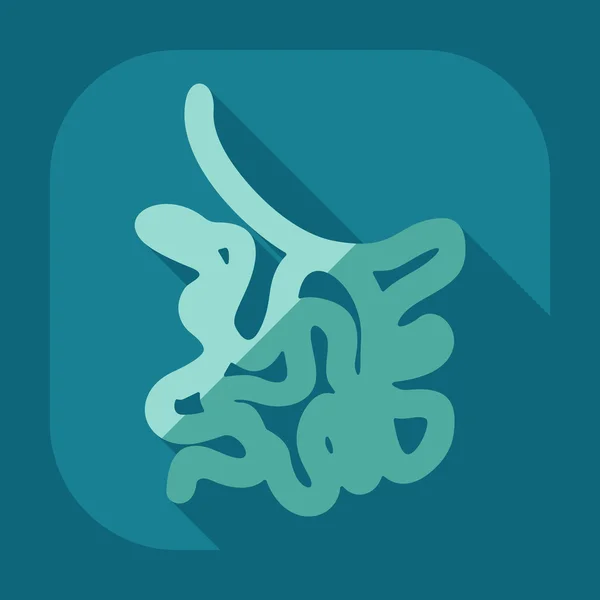 Diseño moderno plano con iconos de sombra intestino delgado — Vector de stock