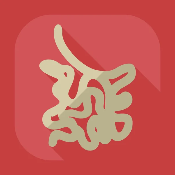 Diseño moderno plano con iconos de sombra intestino delgado — Vector de stock