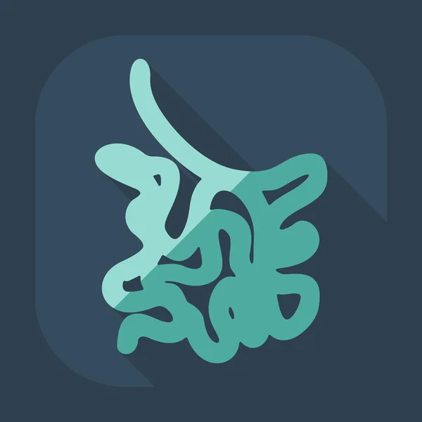 Diseño moderno plano con iconos de sombra intestino delgado — Vector de stock