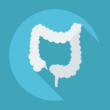 Gölge simgeler kalın bağırsak ile düz modern tasarım