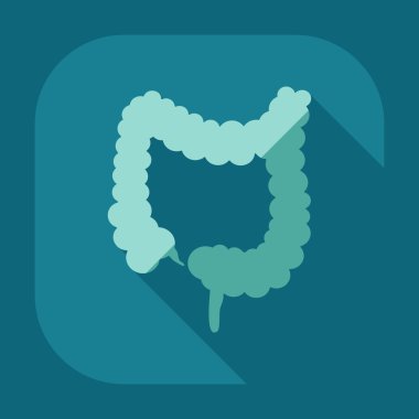 Gölge simgeler kalın bağırsak ile düz modern tasarım