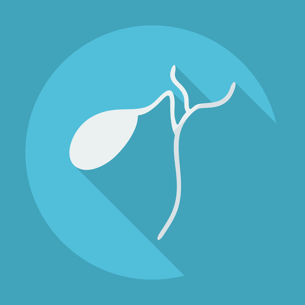 Плоский современный дизайн с теневыми иконками селезенки
