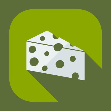 Flat modern design with shadow icons cheese