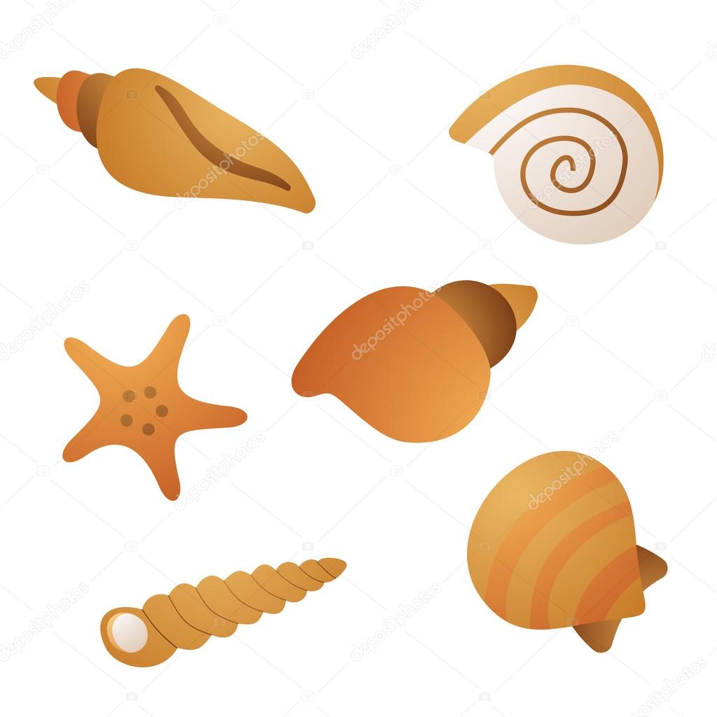 kind of sea shells, sticker vector silhouette illustration