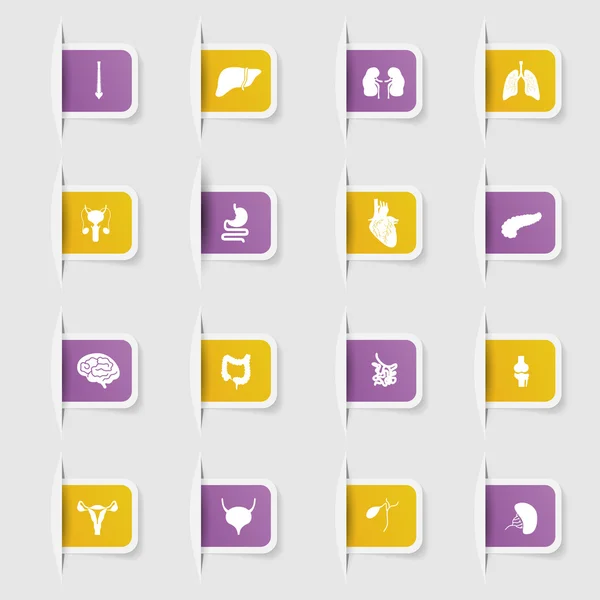 ユニークな紙ステッカー臓器医学のコレクションを設定します。 — ストックベクタ