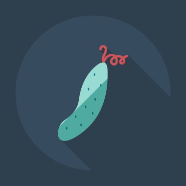 Gölge simgeler salatalık ile düz modern tasarım