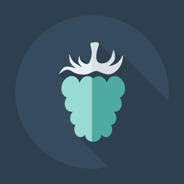 Gölge simgeler ahududu ile düz modern tasarım