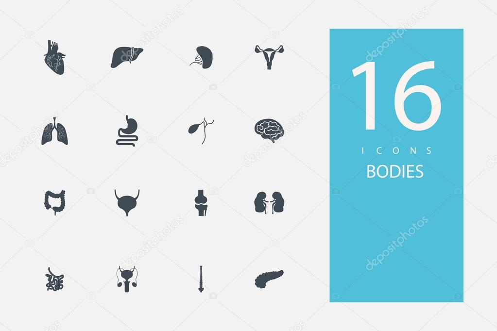 collection of icons in style flat gray color on  topic bodies organs authorities agencies