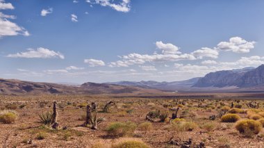 Nevada, alan çölde ed kaya