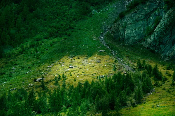 Magnífica escena en los Alpes franceses un río que fluye —  Fotos de Stock