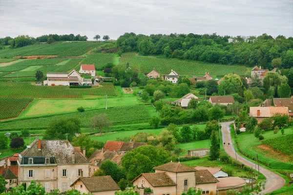 Weinberge der Region cote chalonnaise, Burgund, Frankreich — Stockfoto