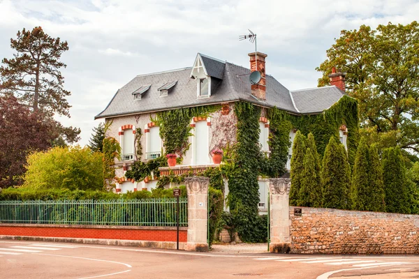 Typische stad huis met grasplant op muur — Stockfoto