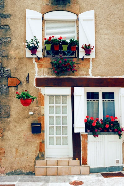 Två fönster i väggen med blommor — Stockfoto