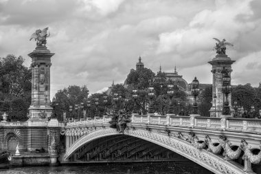 Alexandre III Köprüsü Paris, Fransa. Siyah ve beyaz.