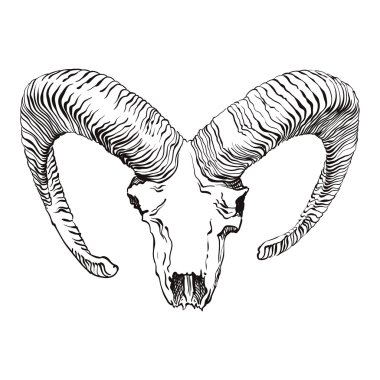 Vintage tarzı kafatasında RAM