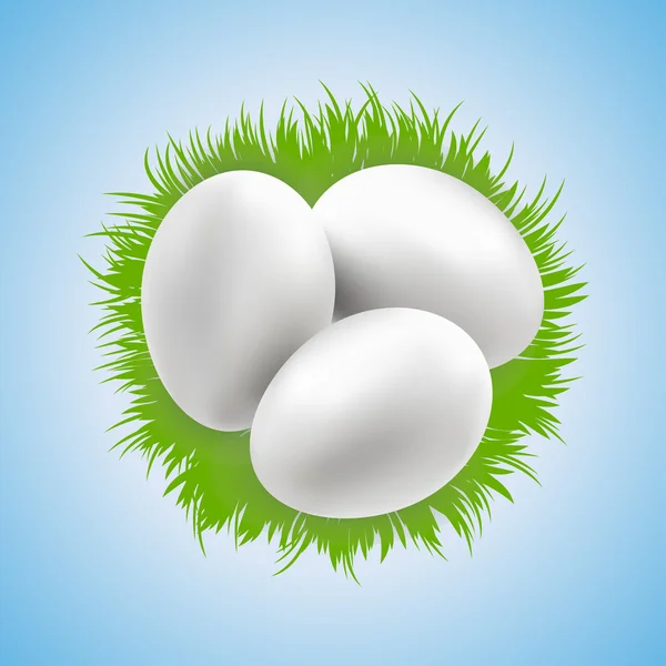 Easter eggs in nest — Stock Vector