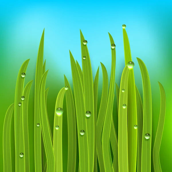 Congé vert fond — Image vectorielle