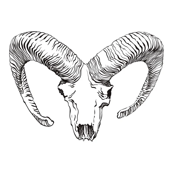 Ram Skull ในสไตล์วินเทจ — ภาพเวกเตอร์สต็อก