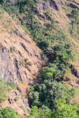 Güzel tropikal orman manzara çölleşme alanında.