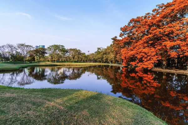 Beautiful Urban Lake Middle City — Stock Photo, Image