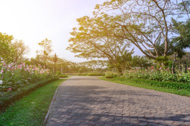 Flora Bahçe Kentsel şehir içinde yol ortasında.