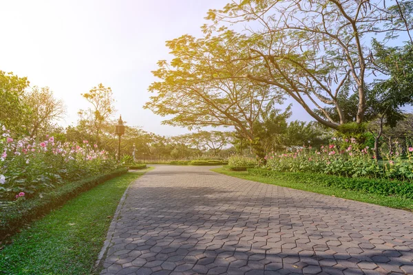 Weg Mitten Durch Floragarten Der Stadt — Stockfoto