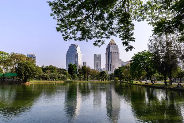 Belo lago urbano com fundo cityscape . — Fotografia de Stock