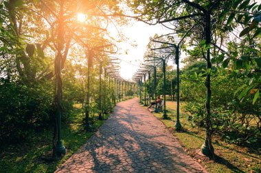 Kentsel şehir sylvan bahçede yol ortasında.