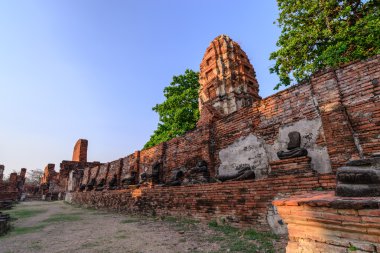 WAT Mahathat, Ayutthaya tarihi park, Tayland Budist tapınağı.