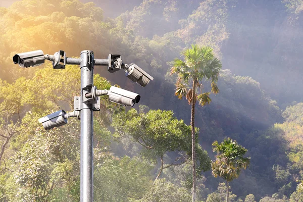 Cámara de seguridad CCTV para monitoreo y protección forestal . —  Fotos de Stock