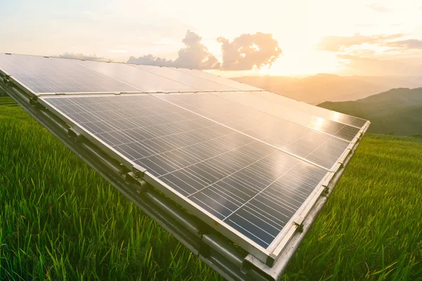 Panel solar con campo de arroz en el campo . —  Fotos de Stock