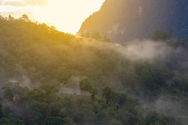 Niebla de la mañana con montaña al amanecer en el Parque Nacional Chiang Dao, Chiang Mai, Tailandia . — Foto de Stock