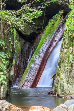 Krak E Dok şelale yağmur ormanları, Tayland.