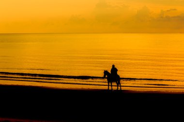 Seacoast At ile Adam. 