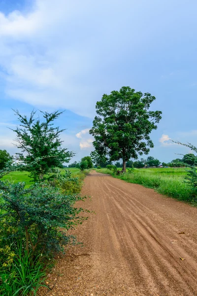 Dirt road in countryside. — Stock Photo, Image