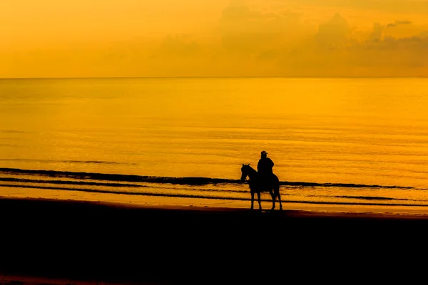 Ο άνθρωπος με το άλογο στο seacoast. — Φωτογραφία Αρχείου