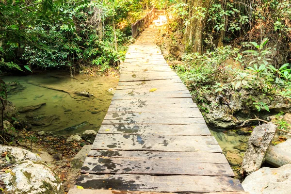 Sendero de madera sobre cascada en bosque . —  Fotos de Stock