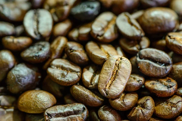Close up of  roasted coffee bean. — Stock Photo, Image