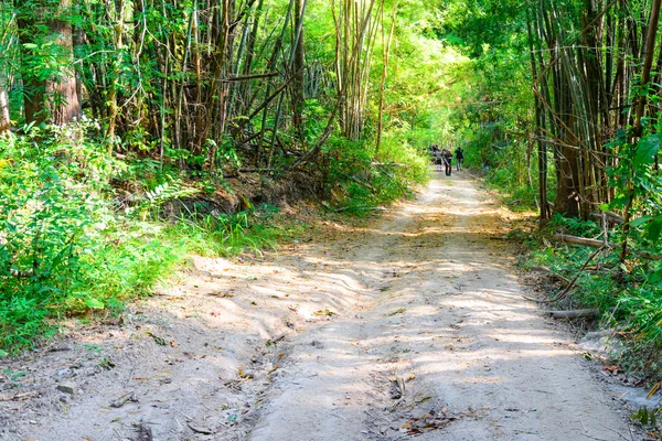 Camino del bosque carretera . — Foto de Stock