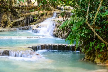 Kouangxi şelale Luang Prabang Laos.