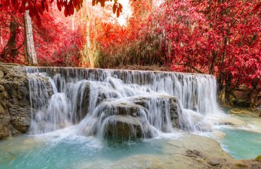 Kouangxi şelale Luang Prabang Laos.