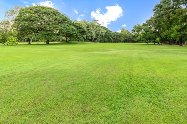 Golf Sahası yatay, ağaç.